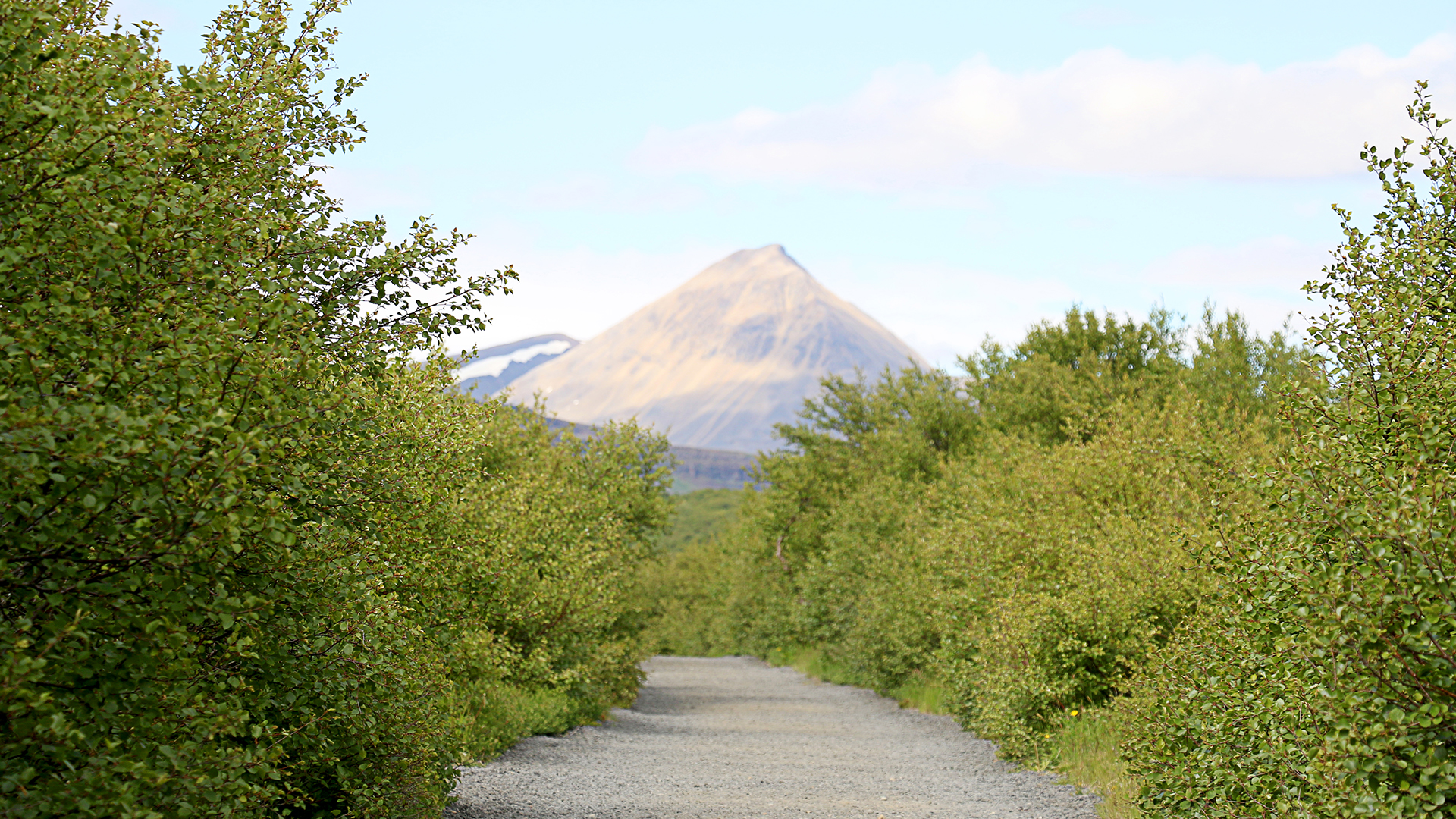 Framhaldsaðalfundur Hollvinasamtaka Bifrastar